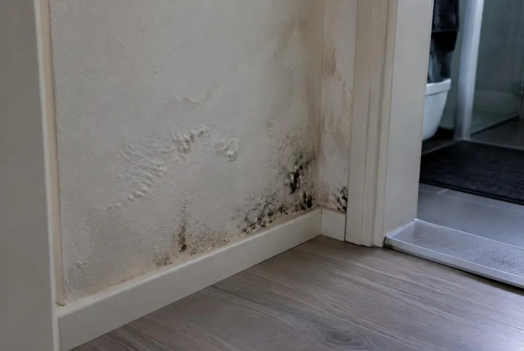 Lekdetectie Maarn – vochtplek met schimmel op een muur